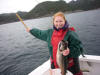 Hechtangeln und Fjordfischen auf Tysnes