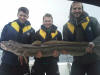 Grossen Leng auf Tysnes Norwegen angeln
